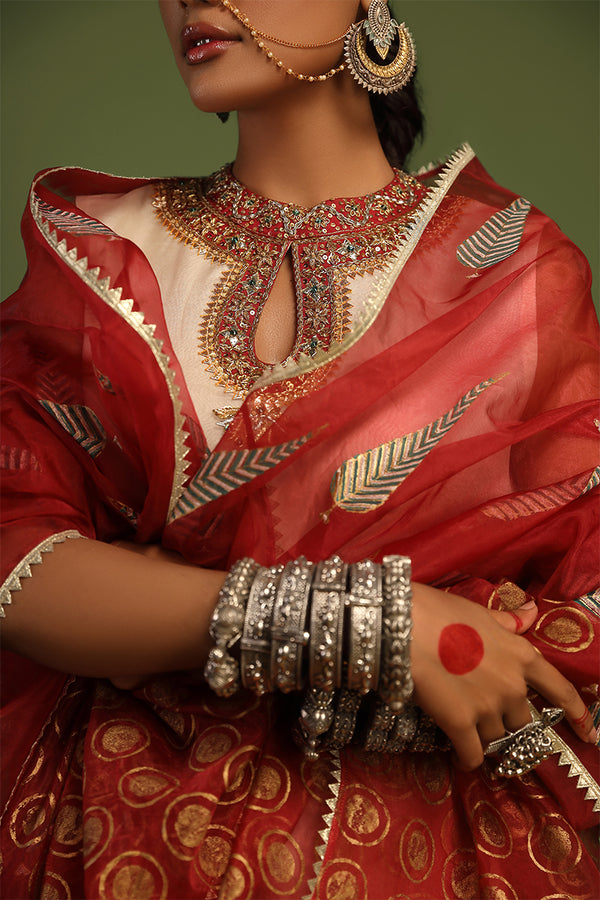 Naqsh - Block Print Organza Dupatta